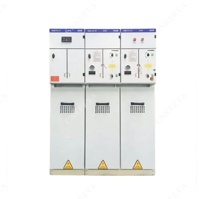 रिंग मुख्य इकाई